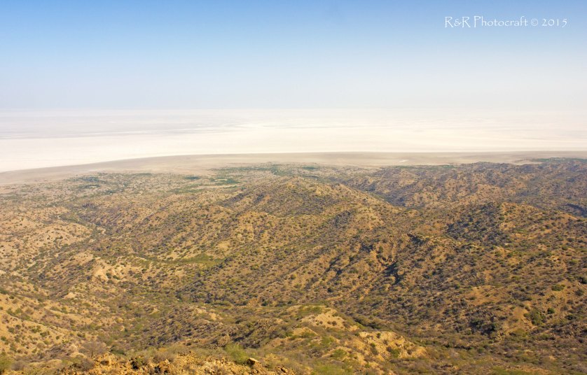 Splendor of White Rann