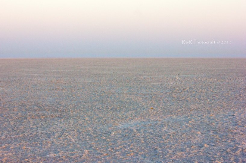 Sunrise in the White Rann